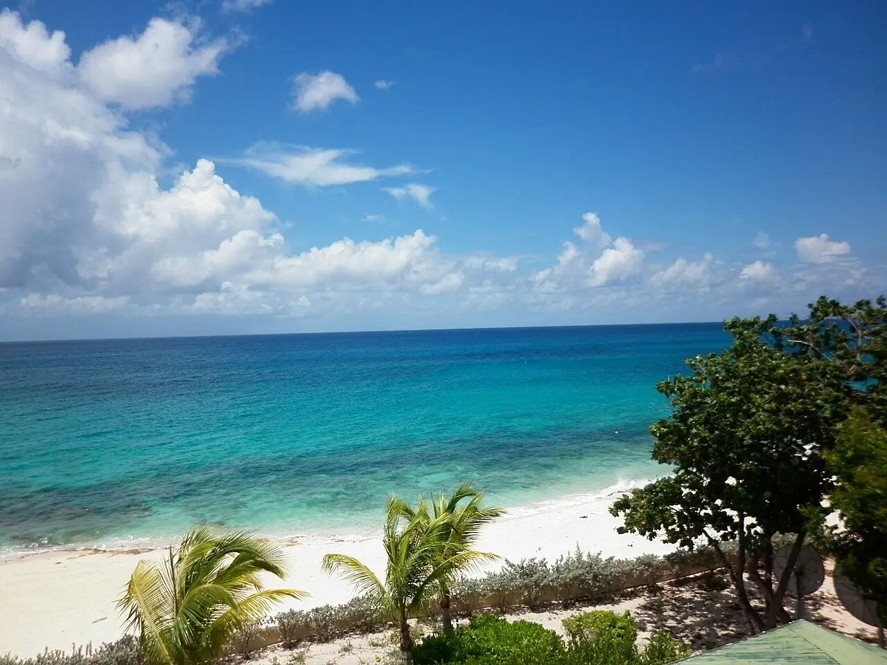 Plage turquoise et palmiers aux Terres Basses